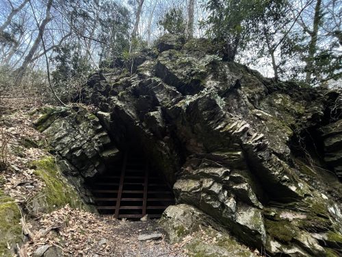 A rocky cave entrance surrounded by trees and foliage, with wooden beams visible inside.
