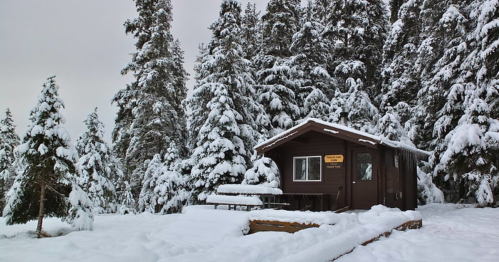 A cozy cabin surrounded by snow-covered trees in a winter landscape.