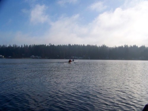 A lone kayaker paddles on a misty lake, surrounded by trees and a serene, foggy atmosphere.