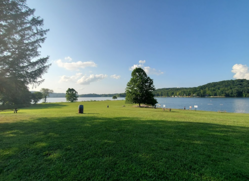 A serene lakeside view with green grass, trees, and a clear blue sky, reflecting calm waters in the background.