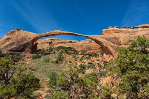 Natural rock arch against a clear blue sky, surrounded by rugged terrain and green shrubs.