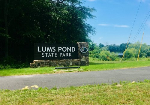Sign for Lums Pond State Park, surrounded by greenery and blue skies, with a road in the foreground.