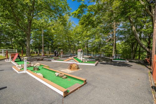 A mini-golf course surrounded by trees, featuring green turf, obstacles, and a clear blue sky.