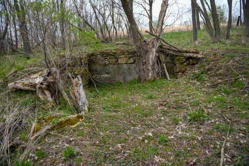 A weathered stone foundation partially covered by grass and trees in a wooded area.