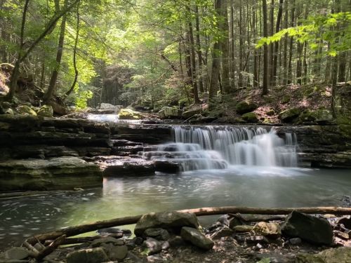 A serene forest scene featuring a cascading waterfall surrounded by lush green trees and a calm pool of water.