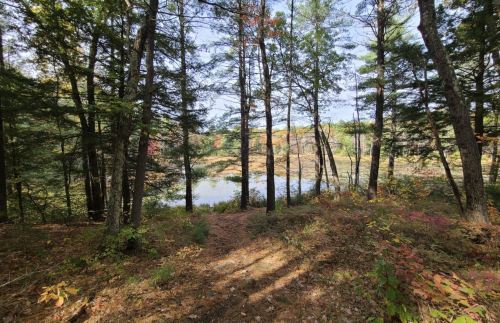 A serene forest path leads to a calm lake, surrounded by trees with autumn foliage.