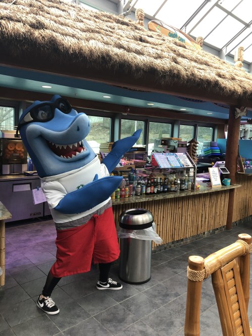 A shark mascot in sunglasses and shorts poses playfully at a tropical-themed snack bar.