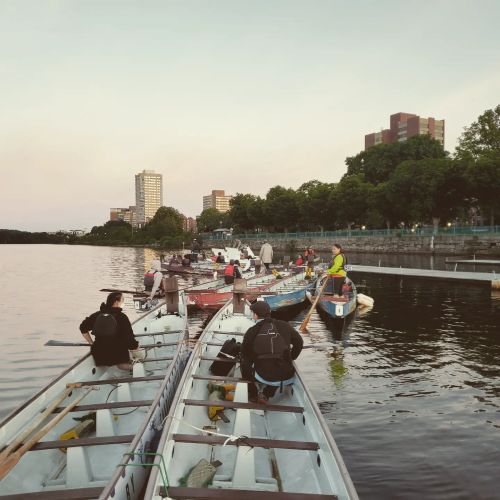 Rowers in boats on a calm river at sunset, with city buildings and trees in the background.