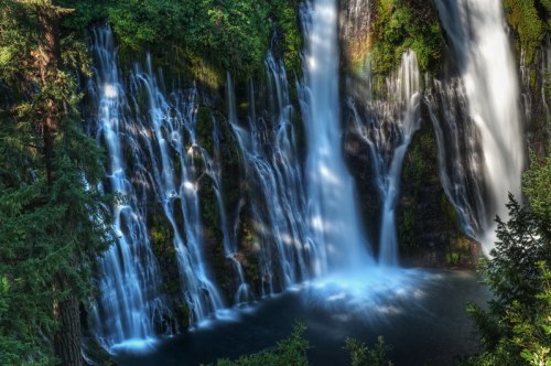 A serene waterfall cascading into a tranquil pool, surrounded by lush green trees and vibrant foliage.