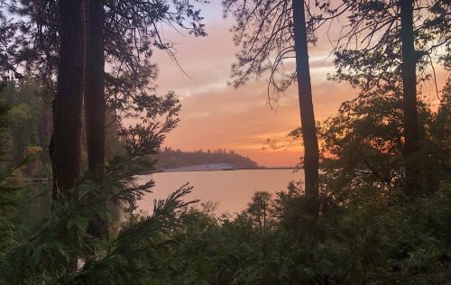 A serene lake view at sunset, framed by trees and lush greenery, with soft pink and orange hues in the sky.