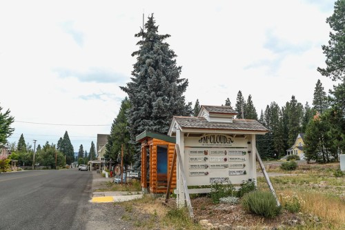 A quiet street in McCloud, lined with trees and a signpost displaying local information.