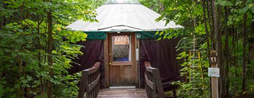 A wooden bridge leads to a yurt nestled among lush green trees.