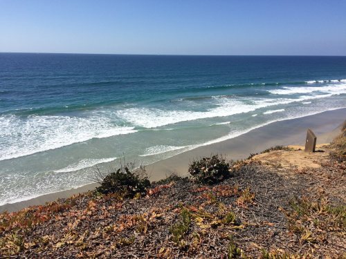A scenic view of a beach with gentle waves, sandy shore, and coastal vegetation under a clear blue sky.