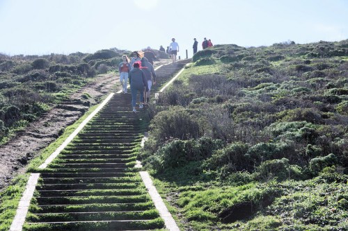 People walking up a grassy hill on a staircase, with a clear blue sky in the background.