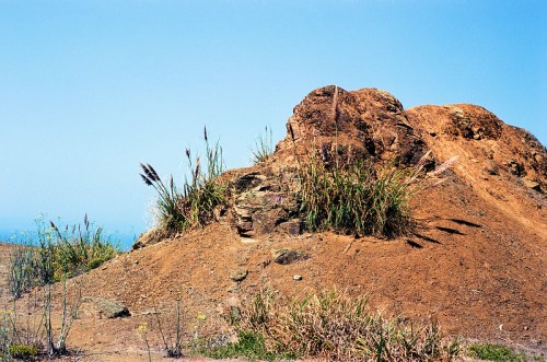 A rocky hill with sparse vegetation and tall grass against a clear blue sky.