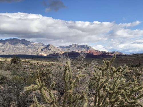 A desert landscape featuring cacti in the foreground, with mountains and a cloudy sky in the background.
