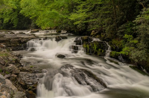 A serene river flows over rocky terrain, surrounded by lush green trees and gentle cascades of water.