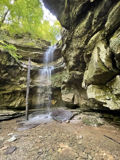 A serene waterfall cascades down rocky cliffs, surrounded by lush greenery and a tranquil pool below.