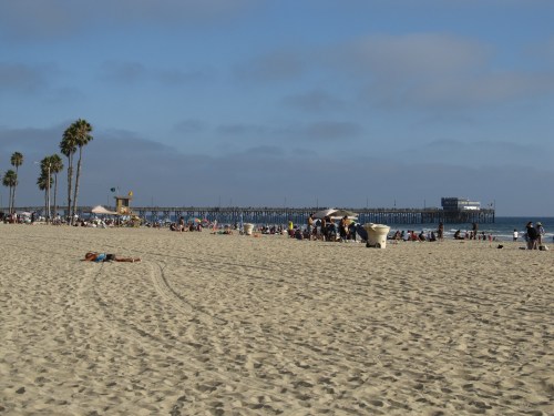 A sunny beach scene with people relaxing on the sand, palm trees, and a pier in the background.