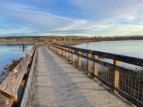 A wooden boardwalk stretches over calm water, surrounded by trees and a clear sky.