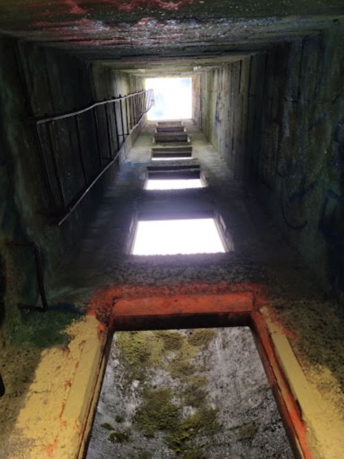 View looking up an abandoned vertical shaft with mossy walls and a faint light at the top.
