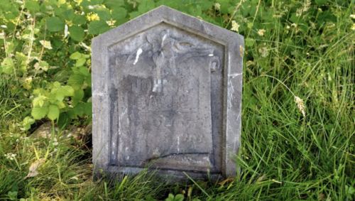 A weathered gravestone partially obscured by tall grass and plants, featuring a floral design at the top.
