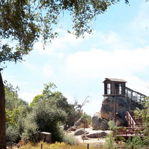 A wooden lookout tower on a large rock, surrounded by trees and shrubs under a clear blue sky.