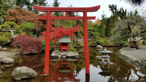 A serene Japanese garden featuring a red torii gate, a small shrine, and colorful autumn foliage reflected in water.