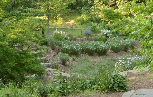 A lush garden path surrounded by blooming flowers and greenery, inviting exploration in a serene natural setting.