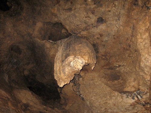 A close-up of a textured rock formation hanging from a cave ceiling, showcasing natural earthy tones and contours.