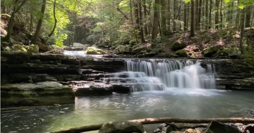 A serene waterfall cascades over rocks into a calm pool, surrounded by lush green trees in a tranquil forest setting.