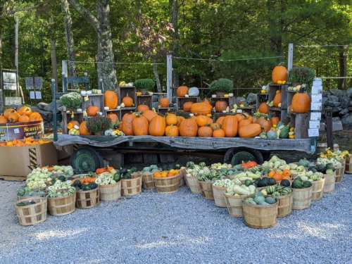 A rustic display of pumpkins and squash on a wooden cart, surrounded by baskets of colorful gourds in a scenic outdoor setting.