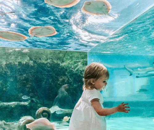 A young child in a white dress stands in an aquarium, watching stingrays swim overhead in clear blue water.