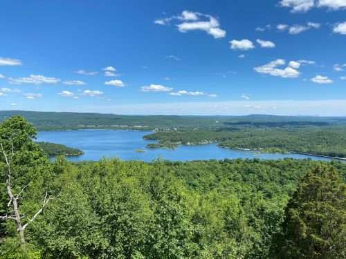 A scenic view of a lake surrounded by lush green trees under a bright blue sky with fluffy white clouds.