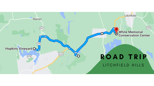 Map showing a road trip route from Hopkins Vineyard to White Memorial Conservation Center in Litchfield Hills.