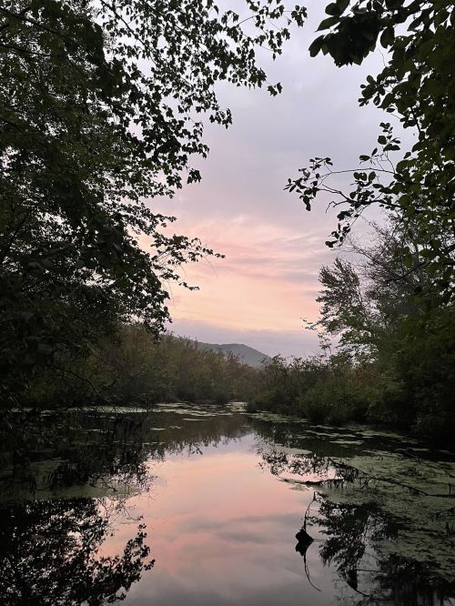 A serene landscape featuring a calm waterway reflecting a pastel sky, surrounded by lush trees and distant mountains.