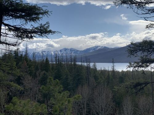A scenic view of mountains and a lake, framed by evergreen trees under a partly cloudy sky.