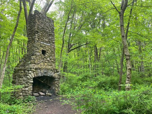 A stone chimney stands in a lush green forest, surrounded by trees and foliage.