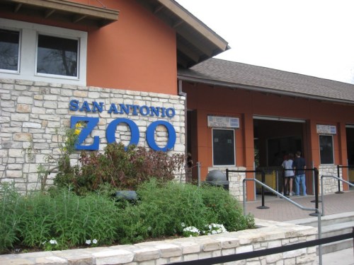 Entrance to the San Antonio Zoo, featuring a stone facade and colorful signage, with visitors entering.