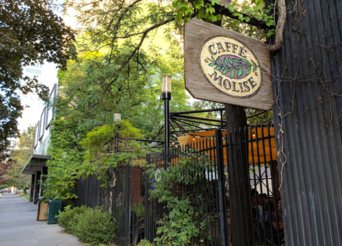Sign for Caffe Molise outside a restaurant, surrounded by greenery and a black fence on a city street.