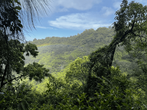 Lush green hillside under a blue sky with scattered clouds and a hint of a rainbow in the distance.