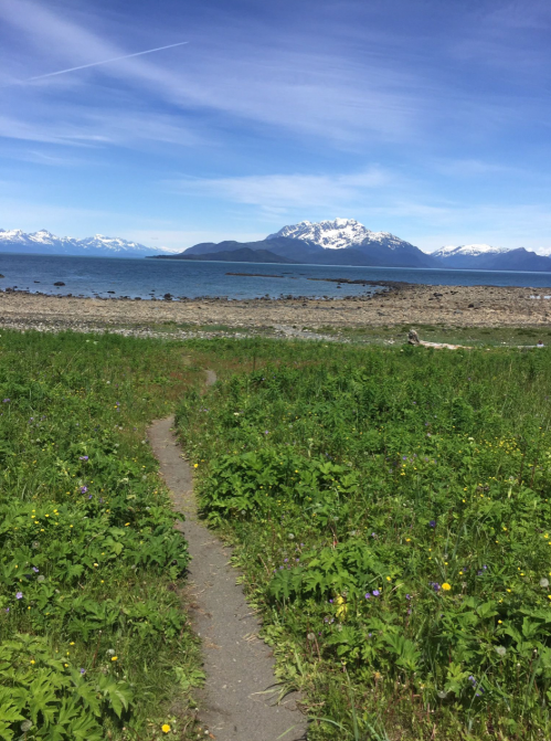 A winding path through green grass leads to a scenic view of mountains and a calm sea under a clear blue sky.