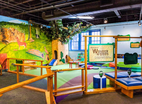 Colorful indoor play area with soft mats, climbing structures, and a mural of nature. Sign reads "Welcome to Wonder Woods."