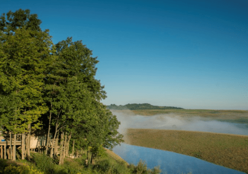 A serene landscape featuring trees by a misty river and rolling fields under a clear blue sky.