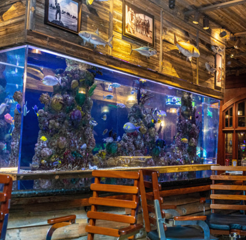 A large aquarium filled with colorful fish, set against a rustic wooden wall with framed photos above.