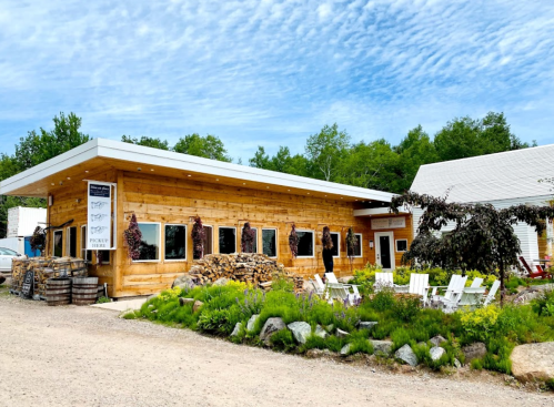 A rustic wooden building with large windows, surrounded by greenery and stacked firewood, under a blue sky.