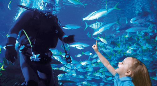 A diver interacts with a young girl underwater, surrounded by various fish in a vibrant ocean setting.