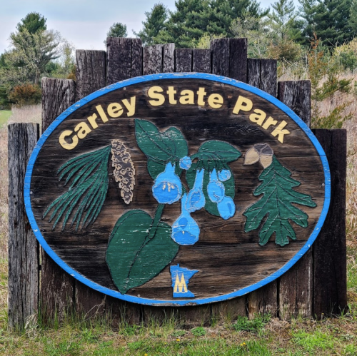 Sign for Carley State Park featuring painted flowers and leaves on a wooden background, surrounded by trees.
