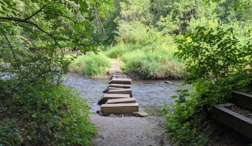 A serene stream with stepping stones crossing over, surrounded by lush greenery and trees.
