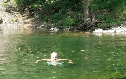 A person swimming in a calm, green-tinted body of water surrounded by trees and rocks.